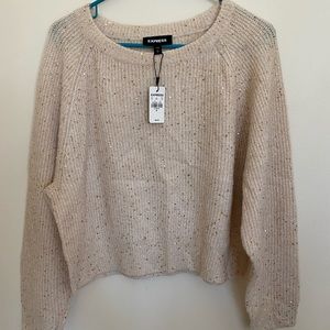 Express Cropped Sweater